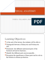 Bacterial Anatomy: Jose R. Villarino, RMT