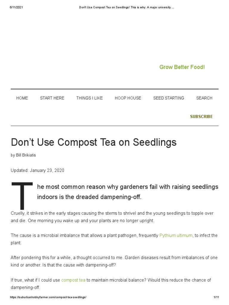 Don't Use Compost Tea On Seedlings! This Is Why A Major University