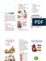 M42-Leaflet Jantung Koroner