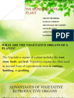 Vegetative Reproductive