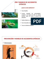 Prevención y Manejo de Accidentes Ofídicos