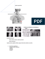 Exame Físico Do Tórax e Aparelho Respiratóri, Dr. Marcel 01.09
