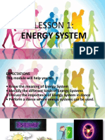 Lesson 1 Energy System