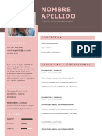 212 Curriculum Vitae Diseno CV Gratis