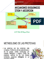 Proteinas Mecanismos Bioquimicos