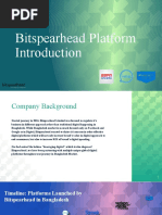 Bitspearhead Platform Introduction - 21