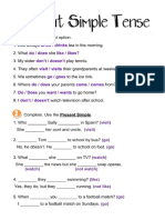 Present Simple Tense Worksheet2
