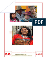 Derechos de Las Naciones y Pueblos Indigenas.