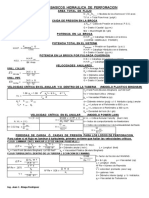 Formulario Perforación II