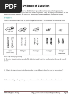 Homology vs. Analogy Worksheet Answers | PDF | Homology (Biology) | Mammals