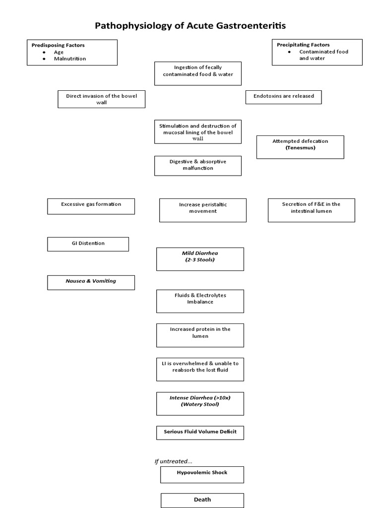 Pathophysiology of Acute Gastroenteritis | PDF
