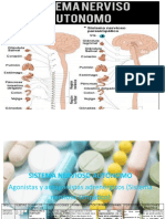 Sistema Nervioso Autónomo