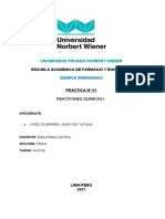 PRÁCTICA QUÍMICA UNIVERSITARIA SOBRE REACCIONES QUÍMICAS I