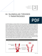 Sec I - Cap 3 GlÁndula Tiroides y Paratiroides