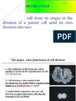 The Life of A Cell From Its Origin in The Division of A Parent Cell Until Its Own Division Into Two