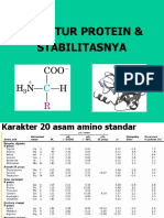 Struktur Protein Dan Stabilitasnya