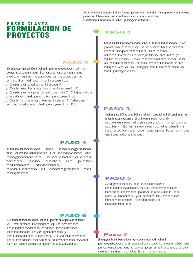 Pasos Clave para Formular Proyectos | PDF | Presupuesto | Planificación