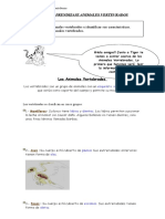 2º-basico-ciencia-GUIA-VERTEBRADOS