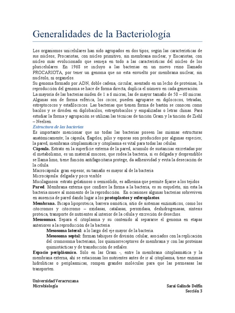 Clasificación y Estructura de Bacterias | PDF | Las bacterias ...