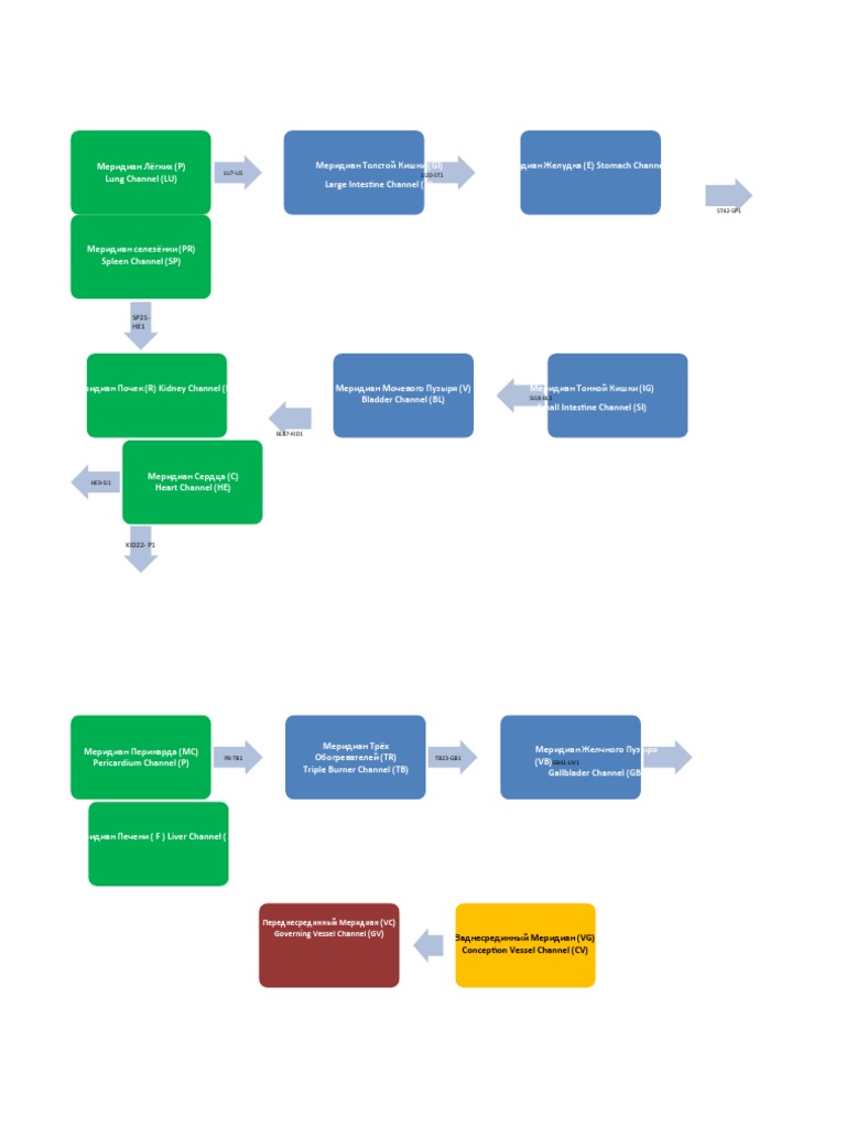 Acupuncture Channels PDF