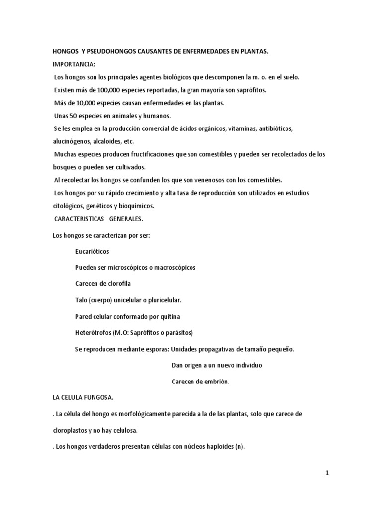 Hongos Y Pseudohongos Causantes de Enfermedades en Plantas PDF