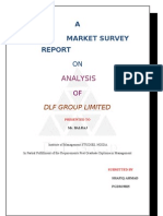 DLF Group Market Survey Report