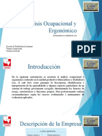 Analìsis Ocupacional y Ergonòmico (Presentacion)