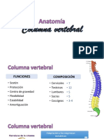 Anatomia de Columna, Medula