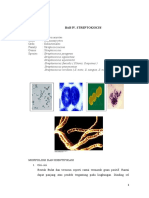 BAHAN AJAR_Strept, Staf, Lakto, Flora Nor, Infeksi