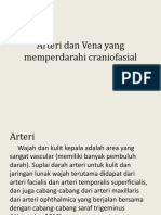 Arteri Dan Vena Yang Memperdarahi Craniofasial