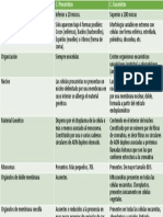 Diferecnias Entre Procariota-Eucariota