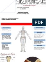 Estructura y Funcion Del Cuerpo