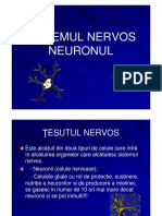 Neuron Ul