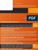 Referat PDF