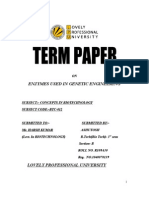 Term Paper