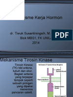 Mekanisme Kerja Hormon MNBS1 2014