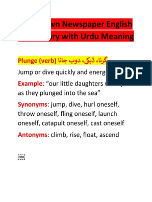 Daily Dawn Newspaper English Vocabulary with Urdu Meaning: Plunge (verb)  اناج بود ،کیبڈ ،انرگ, PDF, Linguistic Typology