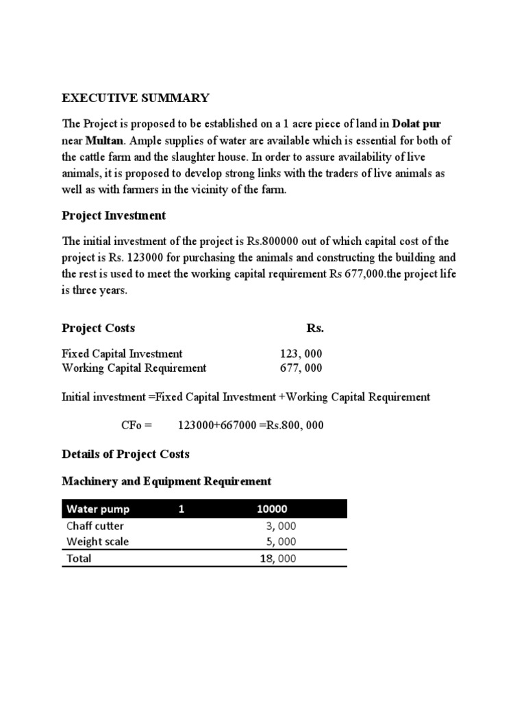 Executive Summary /unit Water Pump 1 10000 PDF Depreciation Expense