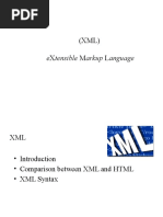 Extensible Markup Language