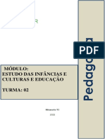 Estudo Das Infâncias e Culturas e Educação