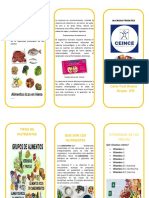 Triptico de Micronutrientes de Carla Yisel