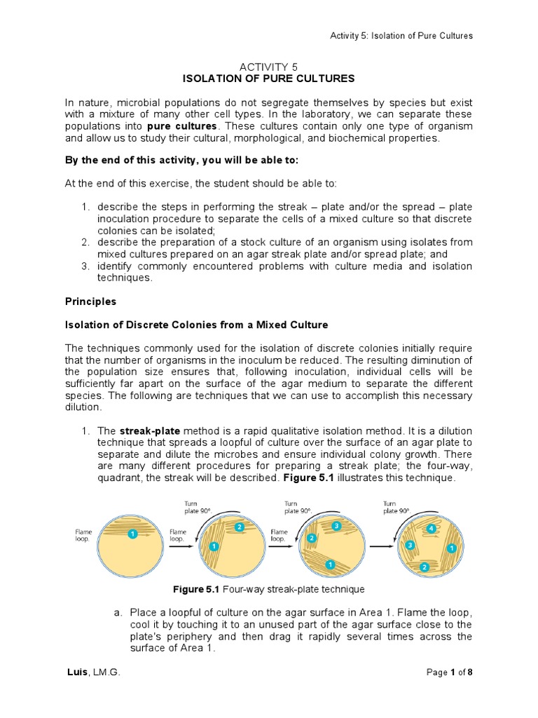 Activity 5. Isolation of Pure Cultures | PDF | Laboratory Techniques ...