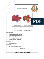 Cirrosis Post Hepatitis