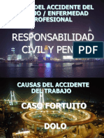 Responsabilidad Civil y Penal Rev. 17