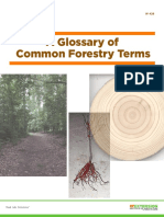 A Glossary of Common Forestry Terms