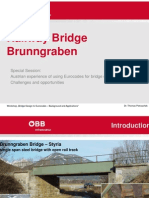 2010 Bridges SpecialSession TPetraschek