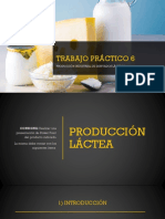 Trabajo Práctico 6 - Derivados Lácteos