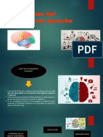 Fuciones Del Hemisferio Derecho