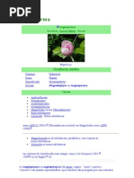 Angiospermas e Gimnospermas