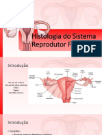 Histologia-Sistema-Reprodutor-Feminino